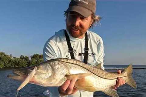 Dial in the Bite: Catch More Fish on the Flats