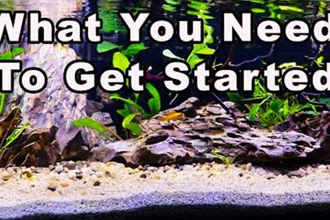 Beginners Guide to The Aquarium Hobby Part 2: Everything You Need to Start an Aquarium!