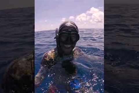MASSIVE Marlin Attacks Me (&amp; steals my tuna)