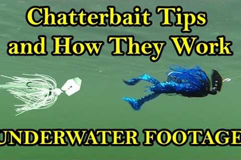 Chatterbait Fishing Lure Tips and How They Work Underwater (Underwater Bass Fishing Lures)