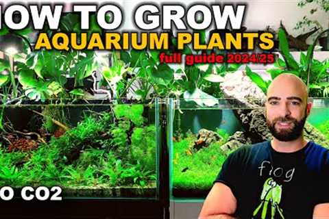 DON'T START A PLANTED TANK WITHOUT WATCHING THIS! (Everything I Have Learnt in 6 Years)