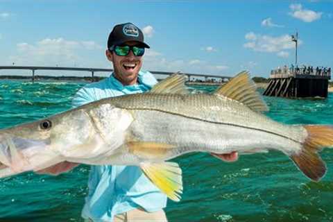 The Protected Fish I'm Keeping Forever (Catch Clean &amp; Cook Snook)