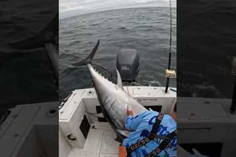 We were unprepared #fishing #sushi #fish