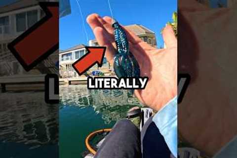 Freshwater Lures in Saltwater! #fishingvideo #fishing