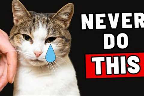 10 Things a Cat Will NEVER Forgive