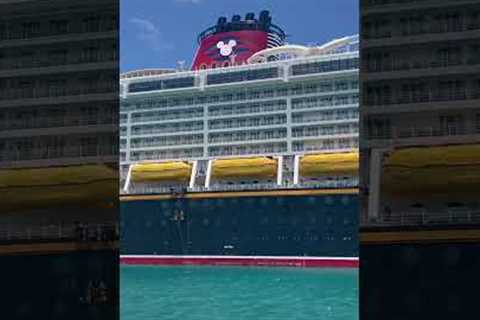 The Disney Fantasy Cruise ship!