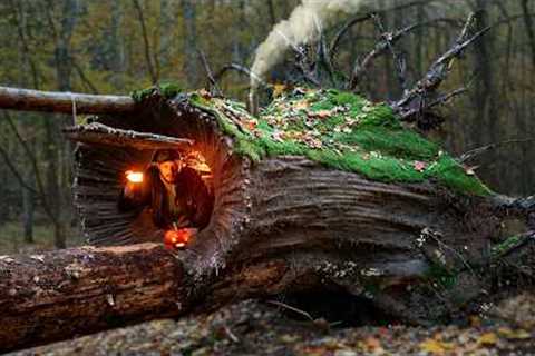 Building a Warm and Cozy Hollow for Survival, in the root of a fallen spruce. Secret cave, Bushcraft