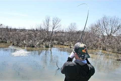 Sight Fishing Big Bass on Lake Fork