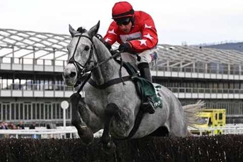 Wow! L’Eau Du Sud oozes class in the Arkle Trial at Cheltenham...😍