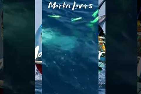 Fishing in the Pacific ocean,, Big Fish Fishing, Catching Marlin🐟 #short #fyp #4k