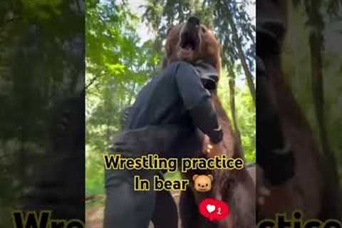 BEAR🐻FIGHT#motivation#practice#workout#sports#trending#ufc#shortsviral#viralshort#ytshorts#wrestlin..