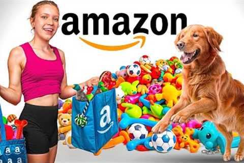 Testing 5 Star Amazon Pet Products