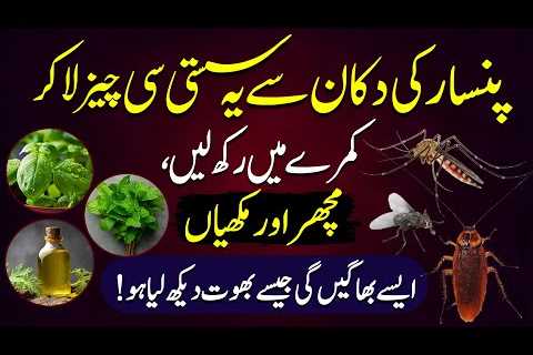 These Vegetables, Herbs And Plants Are Natural Ways To Get Rid Of Mosquitoes And Flies In Your Home