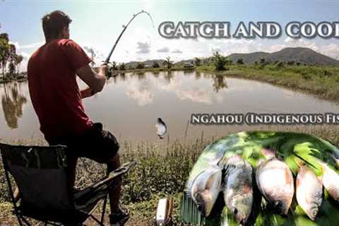 Catch and Cook -Catching Indigenous Fish (Ngahou) and Cooking with Meitei style recipe......