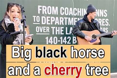 Leeds STREET PERFORMERS Sing Black Horse and a Cherry Tree LIVE!   #leeds #buskers #music