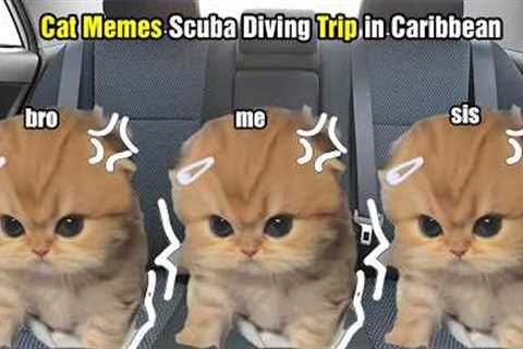 Cat Memes Scuba Diving Trip in Caribbean