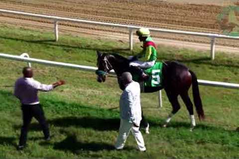 RACE DAY 16TH NOVEMBER 2024 RACE 1