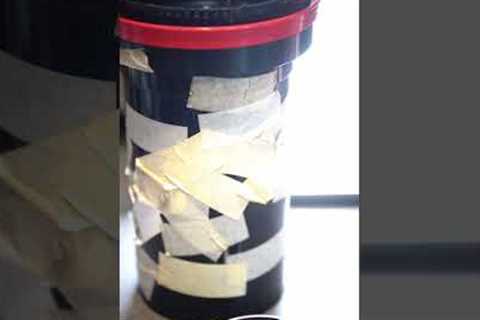 Developing Film at Home is this Easy — Everything You Need to Get Started #shorts