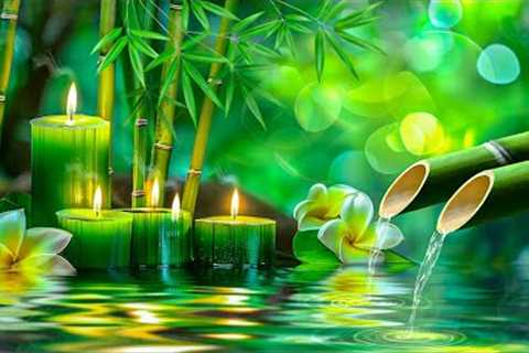 Relaxing Music to Relieve Stress, Anxiety and Depression 🌿 Heals The Mind, Body and Soul #54