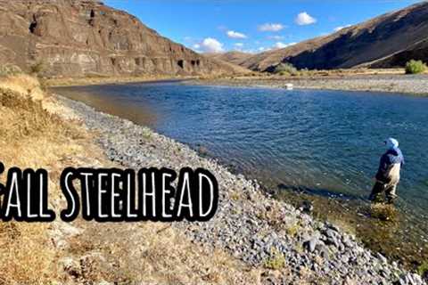 Fall Fly Fishing For WILD Summer Steelhead (Spey Fishing Pt 1)