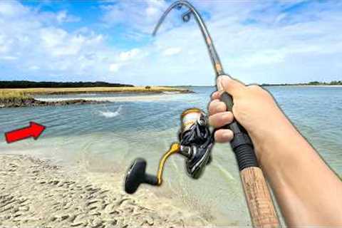 Fishing a NEW Saltwater Creek! Eating Whatever I Catch.. (Catch and Cook)
