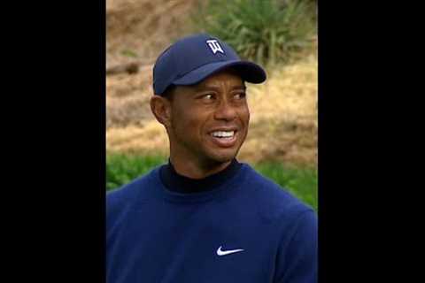 Tiger made this look way too easy 😮