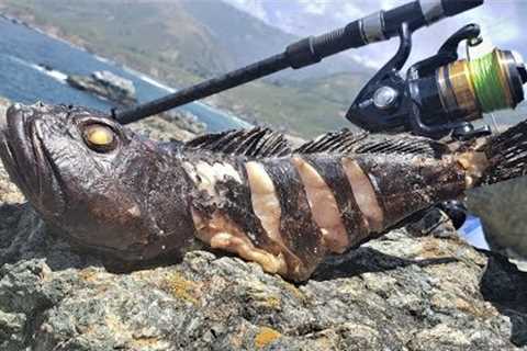 How to CATCH and Cook Whole Fish on an Open Flame