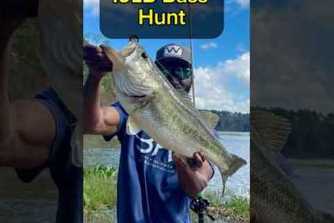 19LB Bass Swimming In My Lake Somewhere #fishing #bassfishing