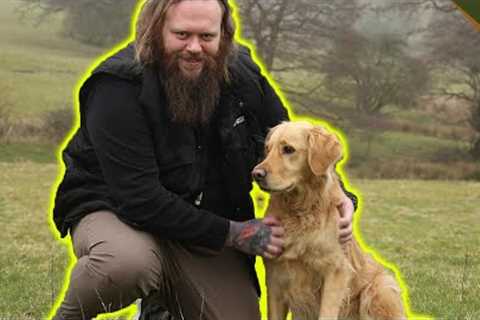 How To Turn AWFUL Recall Into PERFECT Recall Training With Your Dog!