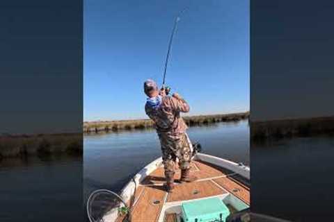 Fishing tips for the struggling hobby angler. #fishing #fishingtips