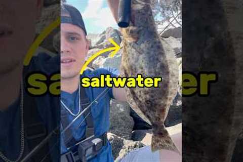 How To Catch Saltwater Fish! (For Beginners)