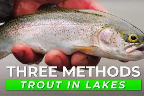 TOP 3 Trout Fishing Tactics For Lakes &amp; Ponds (IN DEPTH HOW TO)
