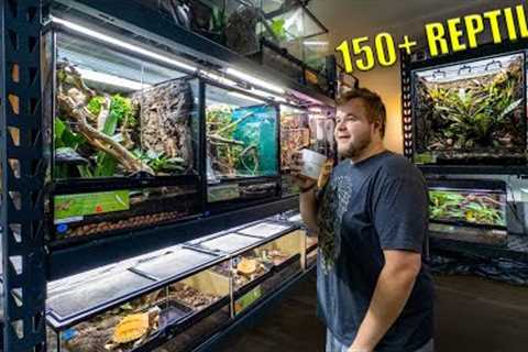 REPTILE ROOM TOUR November 2024! 150+ PET reptiles!