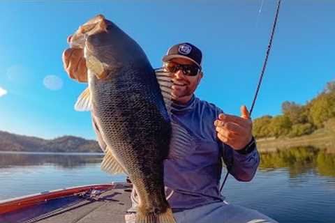 Spring Bass Fishing LIVE On Lake Berryessa! Raw Fishing Footage!
