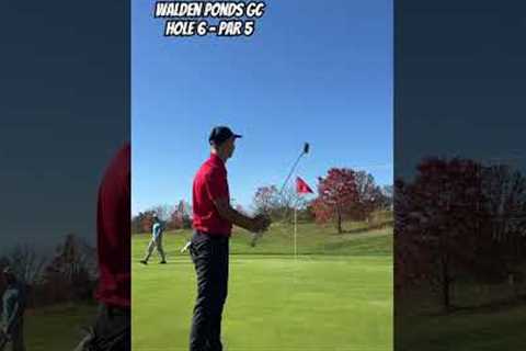 Anyone else need to work on their putting? #golf #golfing #golfswing #shorts #short