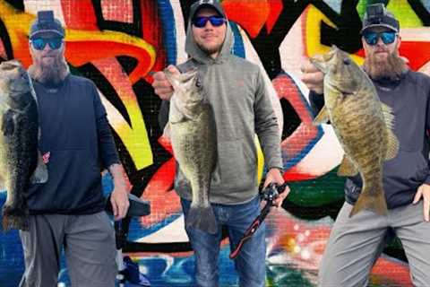 Keuka Lake NY. Largemouth and smallmouth action.