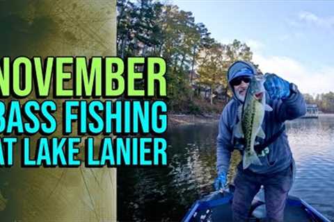 November Bass Fishing At Lake Lanier