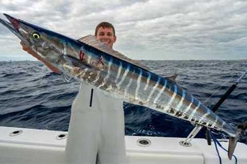 Florida's MOST Overrated Fish... Wahoo & Mahi Mahi! Catch Clean Cook