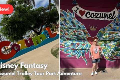 Disney Cruise Line Vlog | Disney Fantasy | Day 3 | Cozumel City Tour by Trolley | Sept 2024