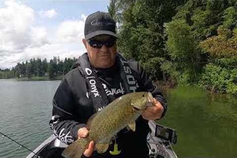 Swimbaits, Shad Shaped Worms, and Smallmouth Bass