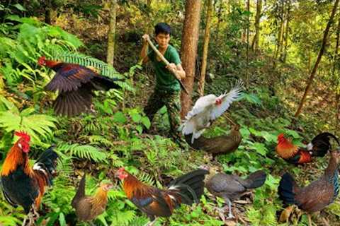 75 days of using survival skills, trapping wild boars, wild chickens, wild fish, survival alone