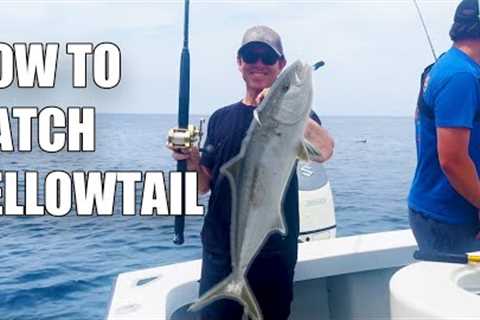 How To Catch Yellowtail Fishing Catalina Island The Tackle And Tips You Need!