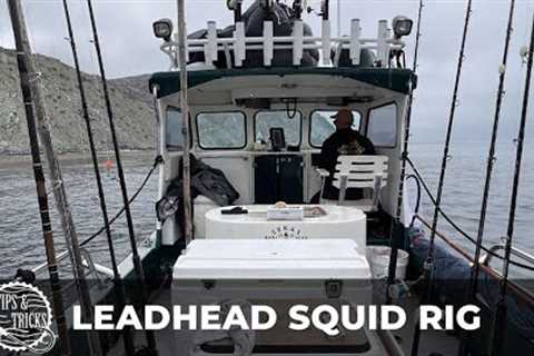 How-to Rig a Leadhead with SQUID for WHITE SEABASS Fishing