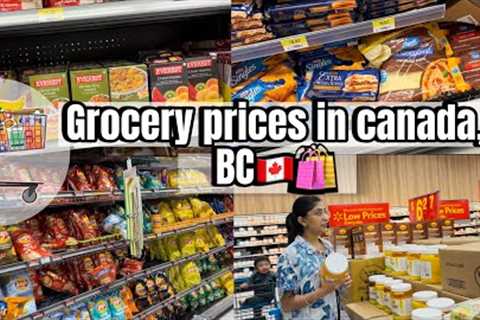 Grocery prices in Canada 🇨🇦 | vlog 6 day 6 (30 days 30 videos) #walmart #surrey #britishcolumbia