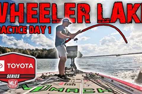 Bass Fishing Wheeler Lake for $200,000! 2024 MLF Toyota Championship (Practice Day 1)