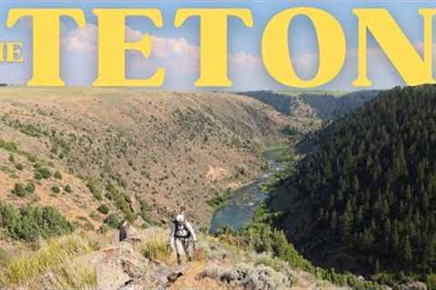 Are the wild fish worth the risk? Fly Fishing the hidden gem of Eastern Idaho fishing
