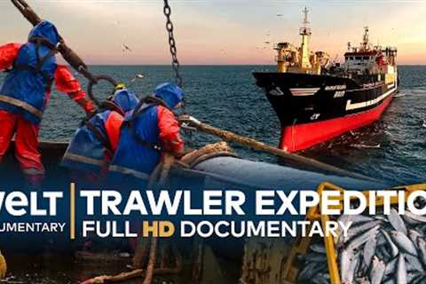 On A FISHING EXPEDITION - Germany's Biggest Deep-Sea Trawler | Full Documentary