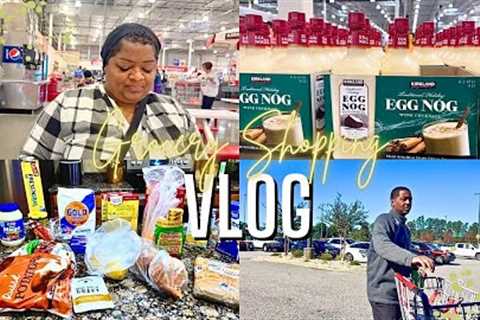 GROCERY SHOPPING VLOG | THANKSGIVING HAUL | PUBLIX + WALMART SHOPPING TRIP