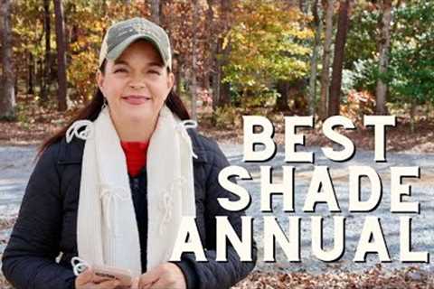 Shade Annuals You're Going to Love