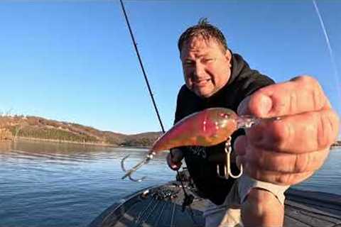 Table Rock Lake Fishing Report November 24, 2024
